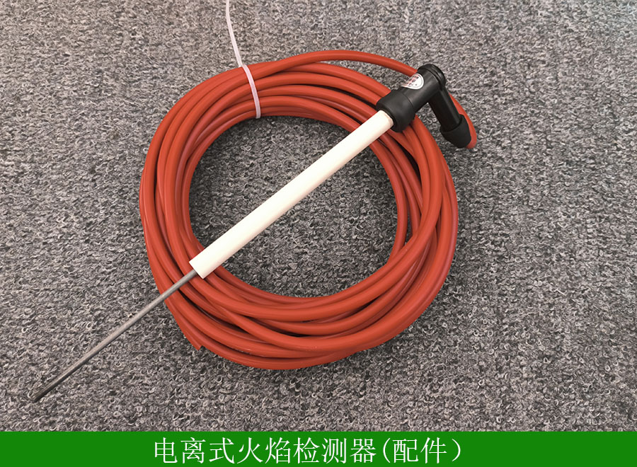 电离式火焰检测器FRDJ-104